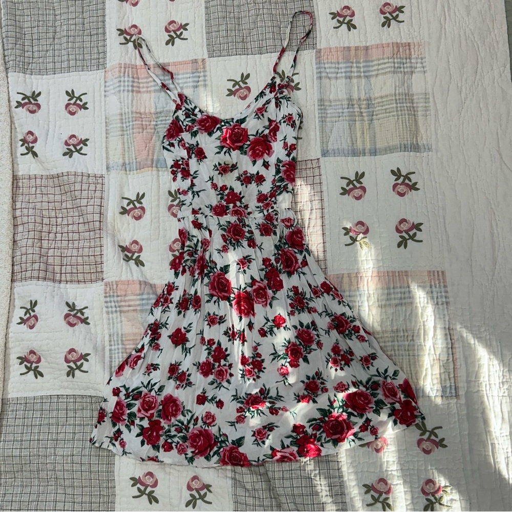 Romantic Coquette Floral Red and White Mini Dress